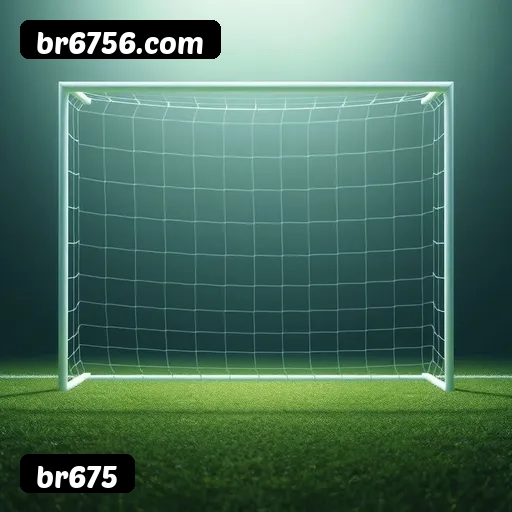 Recursos Exclusivos do App br675 - Modo Offline, Login Biométrico